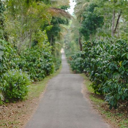 Belvilla The School Estate- Luxury Heritage Home In 200 Acres Madikeri Extérieur photo